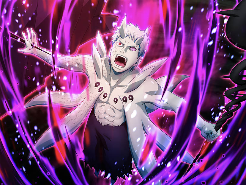 Naruto: The Legacy of the Six Paths Sage